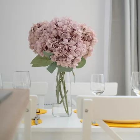 Reja Sunny With Parking By Renters Apartment