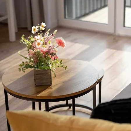 Reja Sunny With Parking By Renters Apartment *